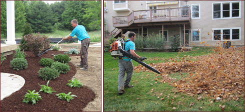 Mulch addition and Leaf removal