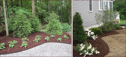 Mulch bedding